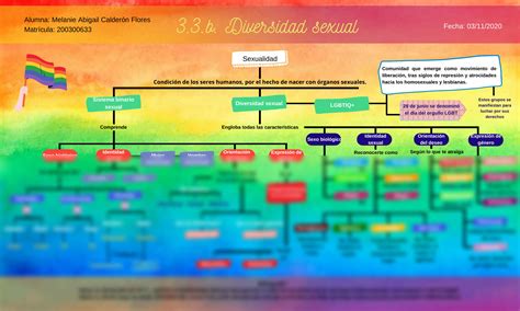 Solution Mapa De La Diversidad Sexual Studypool