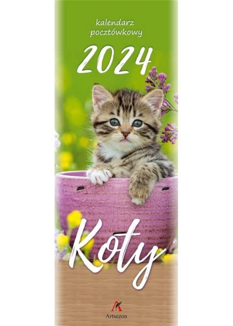 Kalendarz 2024 Pocztówkowy Koty Polska Księgarnia Tania Książka Uk