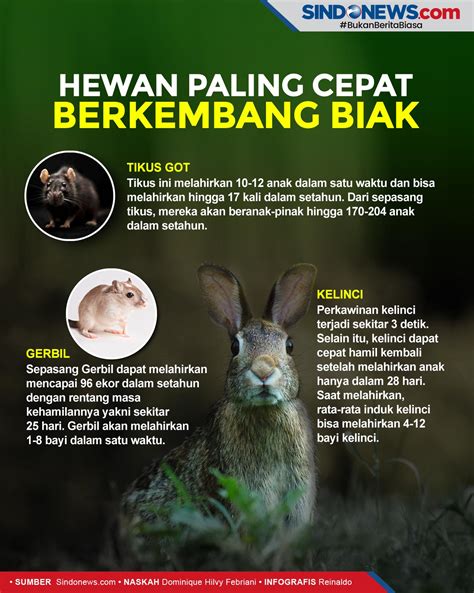 Tiga Makhluk Hidup Paling Cepat Berkembang Biak - News+ on RCTI+