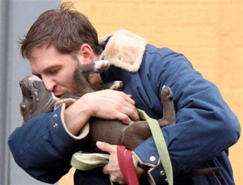 Humans Kiss Their Dogs More Than Their Partners Survey Reveals