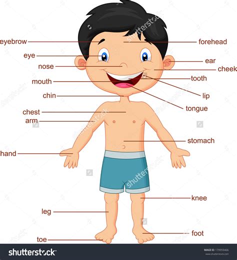 Download Body Parts Clipart Images Alade