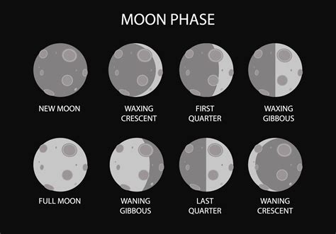 Free Moon Phase Vector Download Free Vector Art Stock Graphics And Images