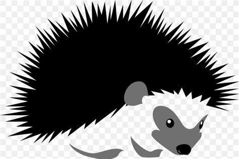 Hedgehog Stock Illustration Silhouette Illustration Png 901x603px