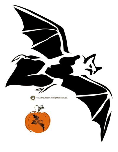 Halloween Bat Pumpkin Stencil Woo Jr Kids Activities