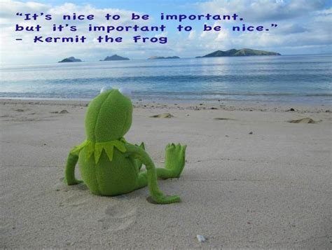 Wise Words From Kermit The Frog