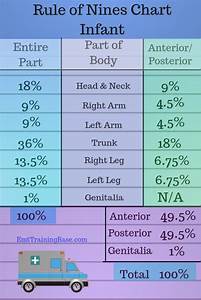 Rule Of Nines Printable Chart