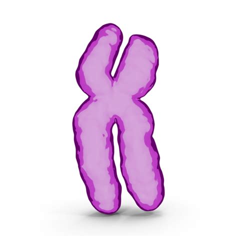 Cartoon Chromosome X Png Images And Psds For Download Pixelsquid S112673741