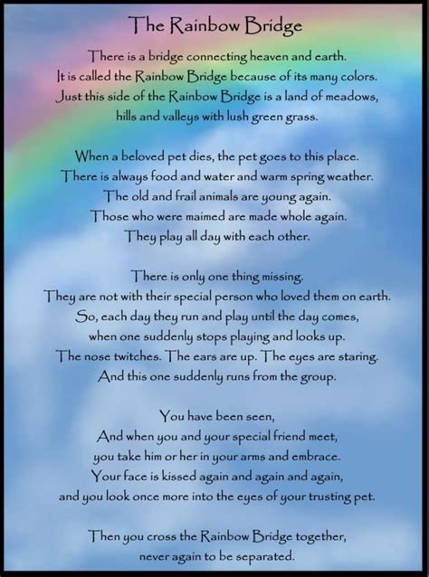 Home poem in a world called perfect in a world called perfect by heidi n. Rainbow Bridge | Westover Animal Clinic