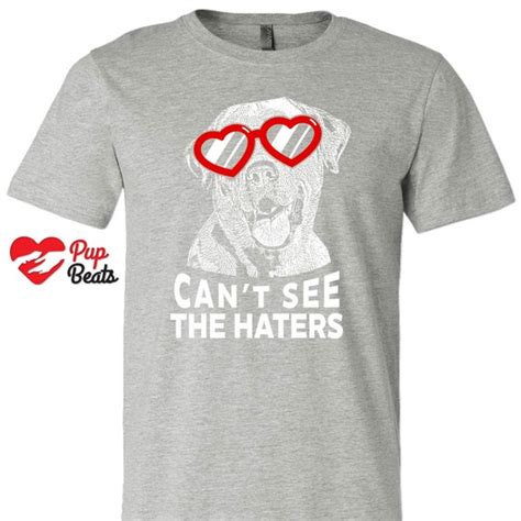 Labrador Retriever Cant See The Haters T Shirt Unisex
