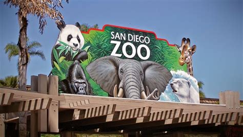 San Diego Zoo Discount Tickets San Diego Zoo Diego San Diego