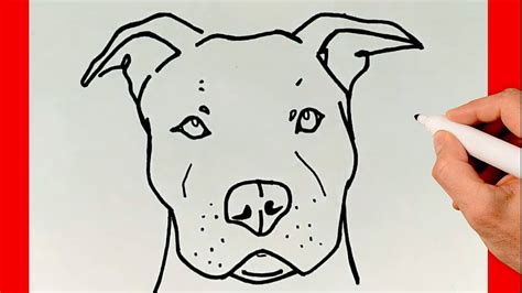 Detalles 65 Perro Pitbull Dibujo Facil última Vn