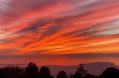 The Bay Area Is Seeing Spectacular Sunsets Heres Why