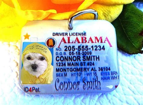 A stolen license or id means you're at serious risk for identity theft. Customized Dog ID Tag Alabama Driver License by ID4Pet by ...