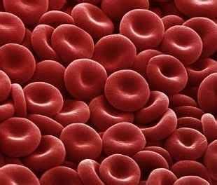 Red blood cells are one of the most important parts of the body as they carry oxygen between your lungs and the various cells in your body. Red Blood Cell (RBC) Count Low & High - MedFriendly.com