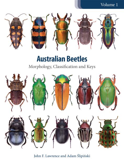 Australian Beetles Volume Morphology Classification And Keys Australian Entomological Supplies