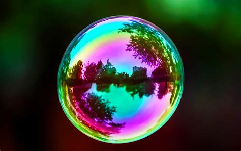 Free Photo Colorful Soap Bubbles Abstract Round Magic