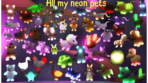 All My Neon Pets In Adopt Me My Inventory In Adopt Meroblox Youtube