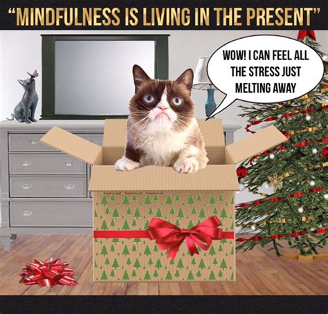 Grumpy Cats Mindfulness Grumpy Cat Christmas Grumpy Cat Funny Cat Memes