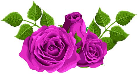 Clipart Roses Purple Clipart Roses Purple Transparent