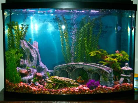 We carry more than 500 aquarium decorations to give you endless options for personalizing your aquarium. 17 Best images about Fish tanks on Pinterest | Aquarium ...