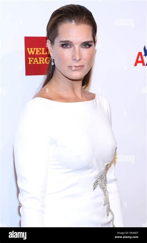 Brooke Shields The Elton John Aids Foundations 11th Annual An