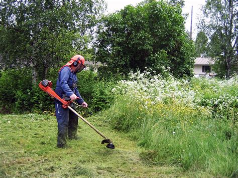 Tidak lama kemudian perempuan itu teriak sepertinya sebagai tanda kenikmatan dan pantatnya diangkat tinggi. Tip Buat Klaim Cermin Kereta Pecah Akibat Terkena Batu ...