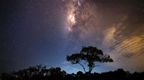 Download 3840x2160 Wallpaper Starry Night Milky Way Tress Night Sky