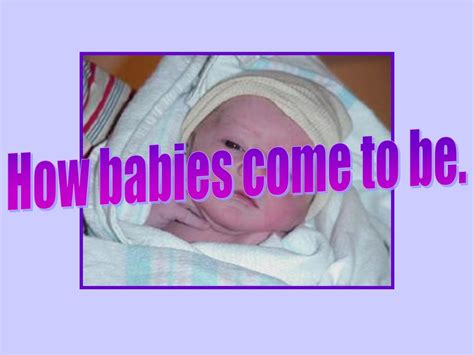 How Babies Come To Be Ppt Download