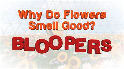 Check spelling or type a new query. Bloopers from "Why Do Flowers Smell Good?" - YouTube