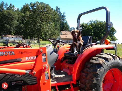 English Millionaire Meets Bad End Killed By Own Dog Driving Tractor