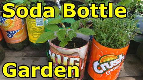 Building A Soda Bottle Garden Youtube Bottle Garden Soda Bottles