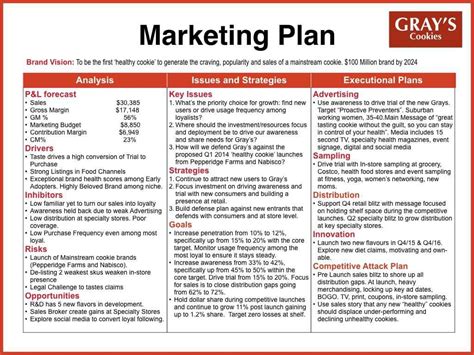 Sale And Marketing Plan Template Addictionary