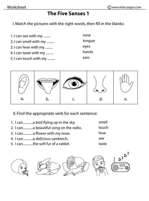 Vocabulary worksheet containing body parts vocabulary. five sense worksheet: NEW 740 FIVE SENSES PRINTABLE ...