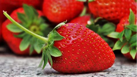 Secret Sex Life Of Strawberries The ‘jumping Genes In The Fruit Uncovers The Truth 🔬 Latestly