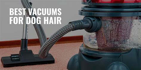 10 Best Vacuums For Dog Hair Tips Top Features Reviews And Faq