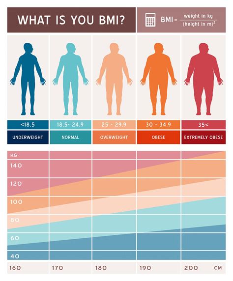 World health organization body mass index (bmi) classifications. What is BMI?- By Janice Williams - Caregiver's Respite