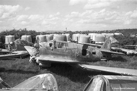 Aviation Photographs Of Curtiss P 40 Warhawk ABPic