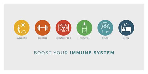 Boost Your Immune System With A Holistic Approach In Denver Co Cric
