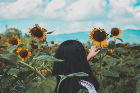 A Woman Standing In A Field Of Sunflowers With Her Hand On The Back Of