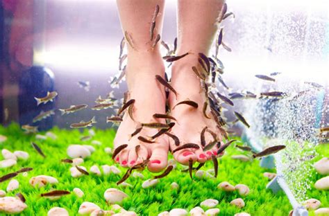 The Dangers And Risks Of Fish Pedicures Cleveland Clinic
