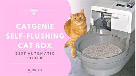 Catgenie Self Flushing Cat Box Self Washing And Auto