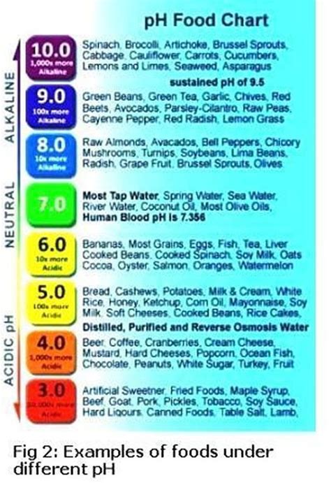 Acid Reflux Food Chart What Are You Eating Find Out With These Ph