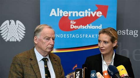 The Very Different Leaders Of Germanys Far Right Afd Party