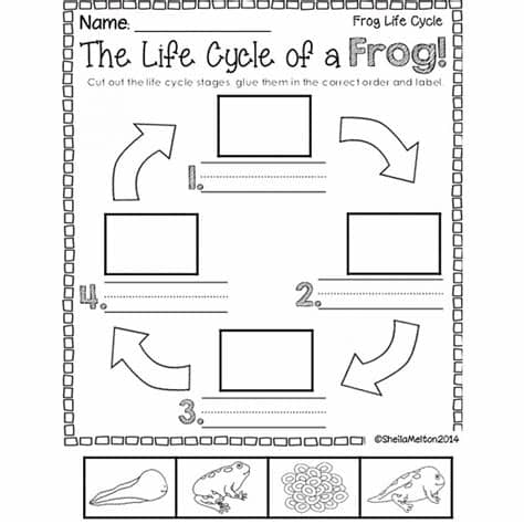 Printables. Frog Life Cycle Worksheet. Beyoncenetworth ...