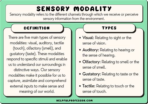 Sensory Modality 10 Examples And Definition 2023