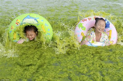 Tourists Frolic In Seaweed That Has Covered Beaches In Eastern China