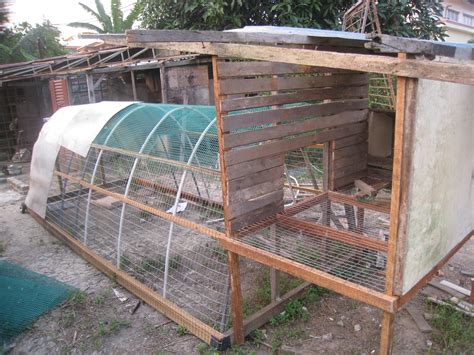 Katanya, suspek tinggal di reban ayam di belakang rumah itu kerana bekerja sebagai penjaga ayam ternakan milik ahli keluarga mangsa sejak awal tahun ini. UNGGAS KOTA: Reban baru gaya Tunnel- tecno