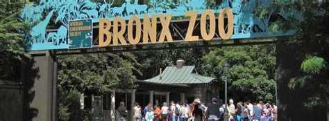 Bronx Zoo Free Wednesdays Limited Admission Bronx Ny Gohilo