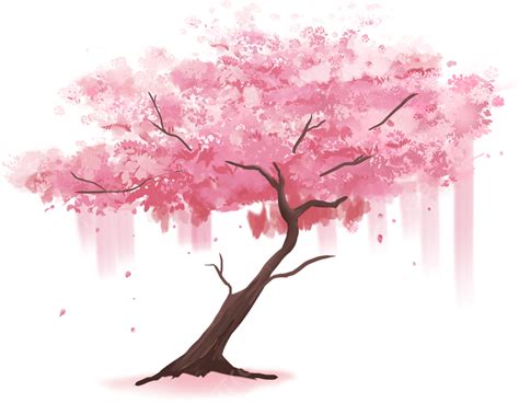 Sakura árbol Agua Color Pétalos Cae Png Dibujos Acuarela Cerezo