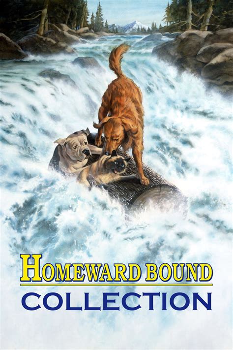 Homeward Bound Collection The Poster Database TPDb
